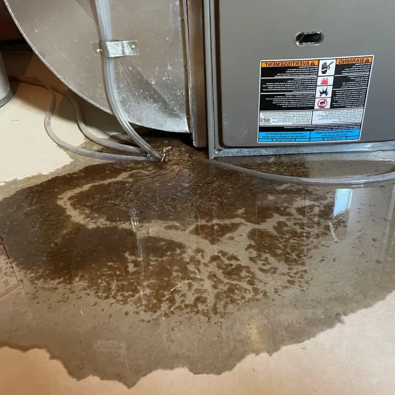 Pipe Burst and Leak Restoration in Campbellsville, KY